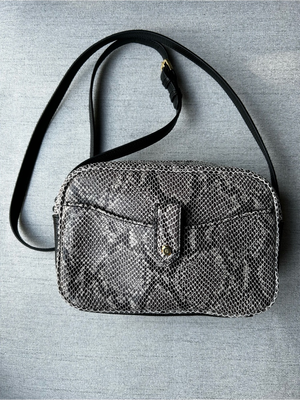 Gilli Black Snake-Print Crossbody Bag with Gold Accent
